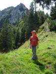 Hochsalwand - Am Kamm zwischen Rampoldplatte und Hochsalwand
