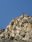 GroÃŸer Dristkogel, Kleiner Dristkogel - Oberer Gipfelauschwung am Nordgrat